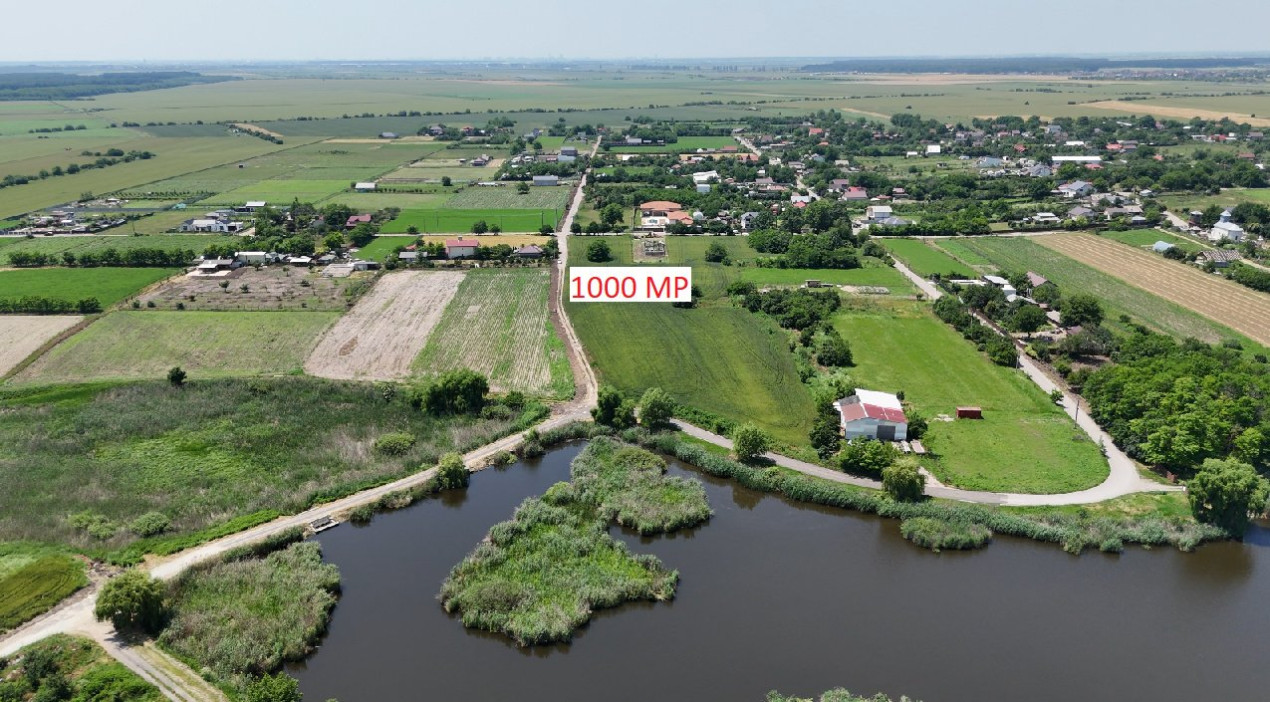 DASCALU-CREATA Lot 1000 MP