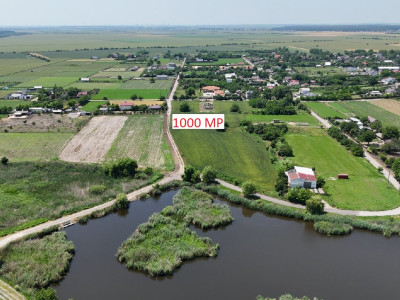 DASCALU-CREATA Lot 1000 MP