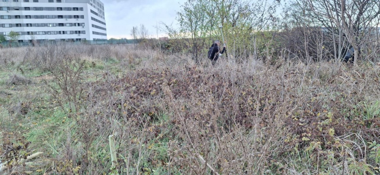 Teren intravilan Zona Centrala Bragadiru 