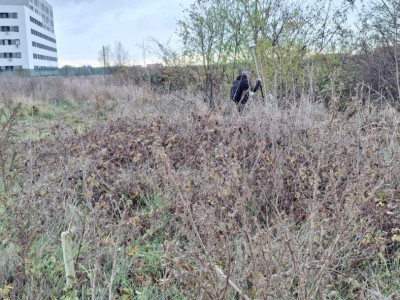 Teren intravilan Zona Centrala Bragadiru 