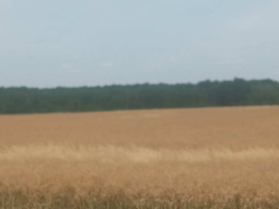 Teren Vanzare Intravilan Branesti investitie Zona Industriala Makita