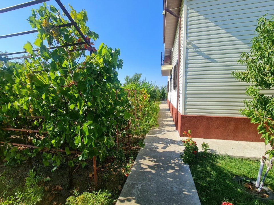 Vila de Vis în Domnești – Spațiu Generos și Confort Premium!