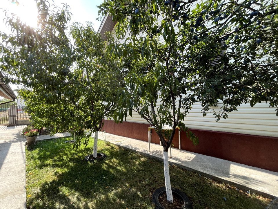 Vila de Vis în Domnești – Spațiu Generos și Confort Premium!