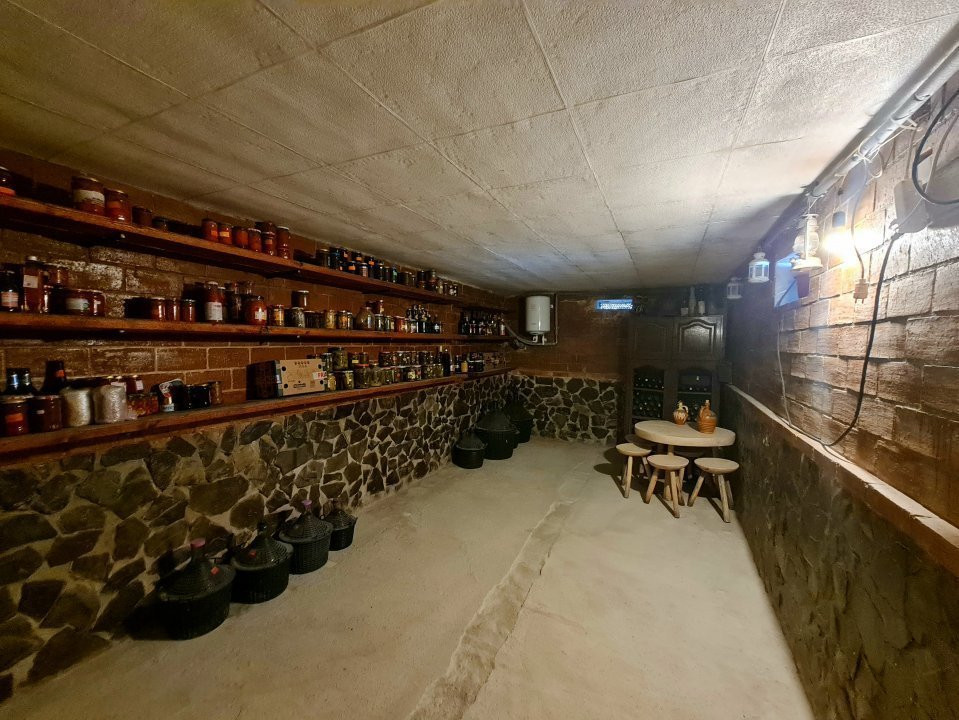 Vila de Vis în Domnești – Spațiu Generos și Confort Premium!