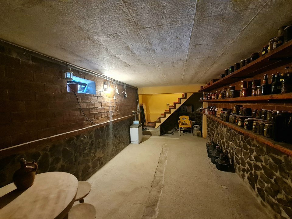 Vila de Vis în Domnești – Spațiu Generos și Confort Premium!