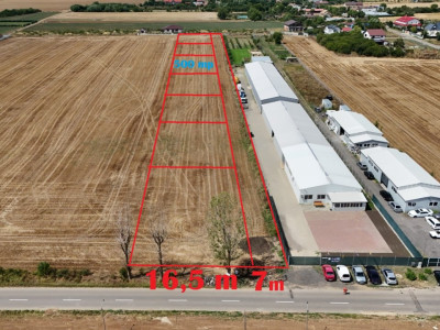CIOLPANI Lot 500 MP