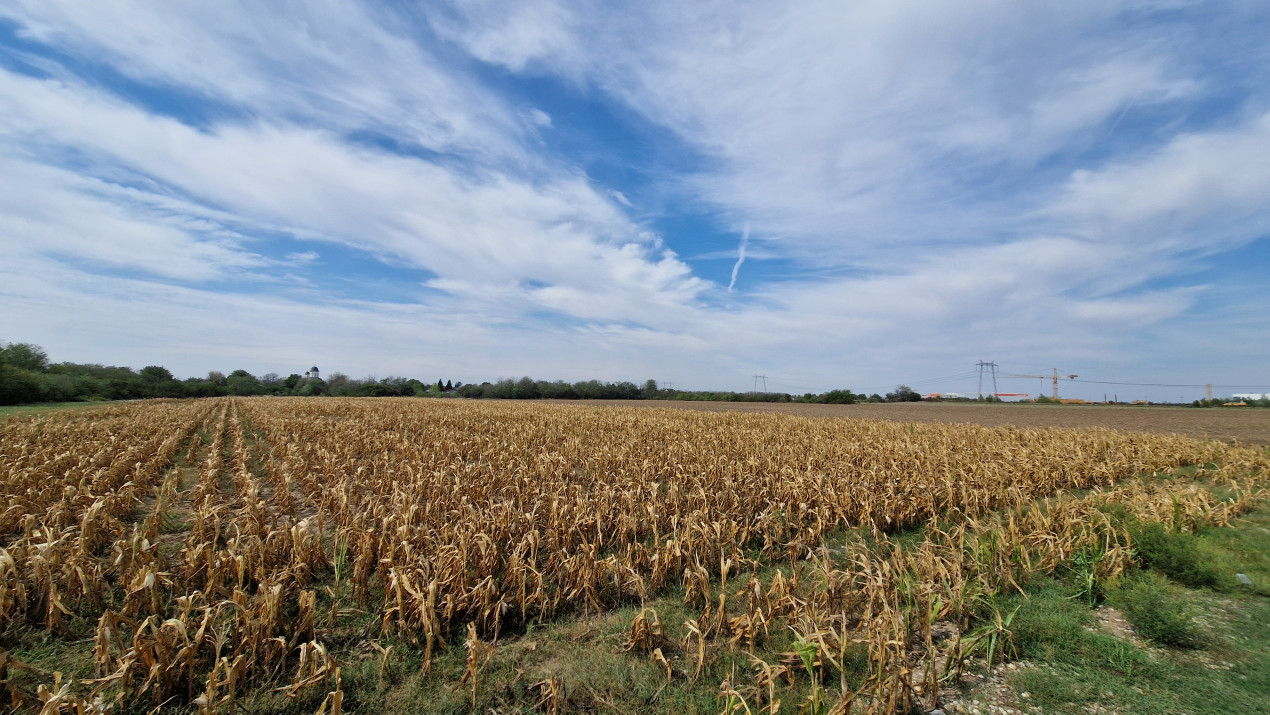 De vanzare 8400mp in Bolintin Deal pe strada Marasesti