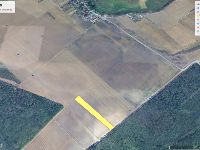 CERNICA - POSTA - TEREN INTRAVILAN CONSTRUCTII 9000 MP! 