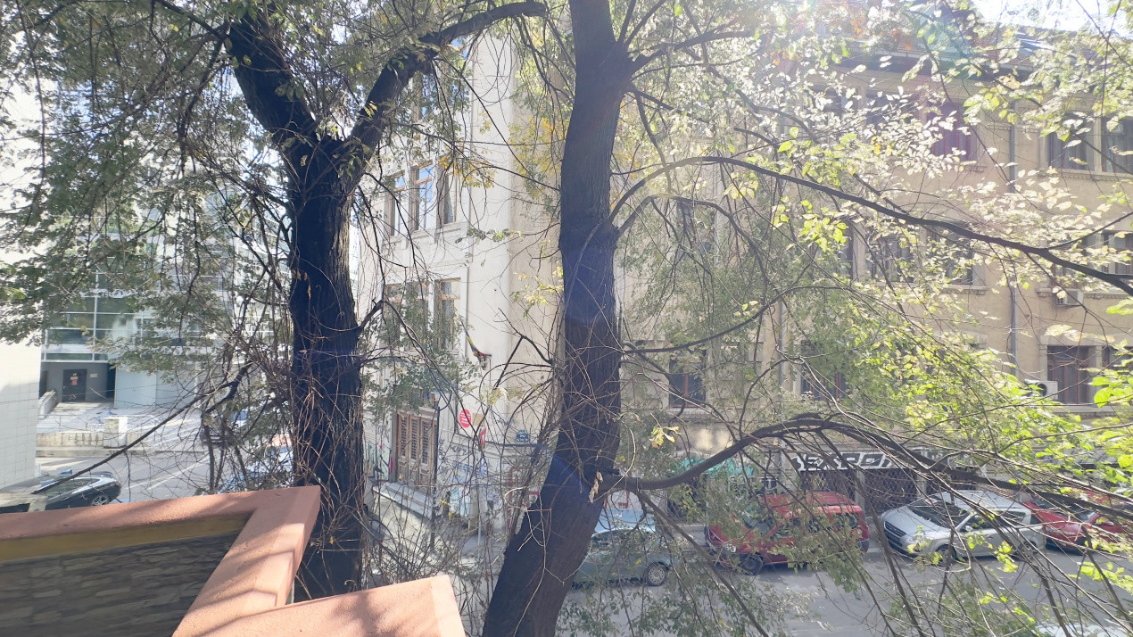 Chic si Central – Garsonieră de închiriat, Balcescu 24