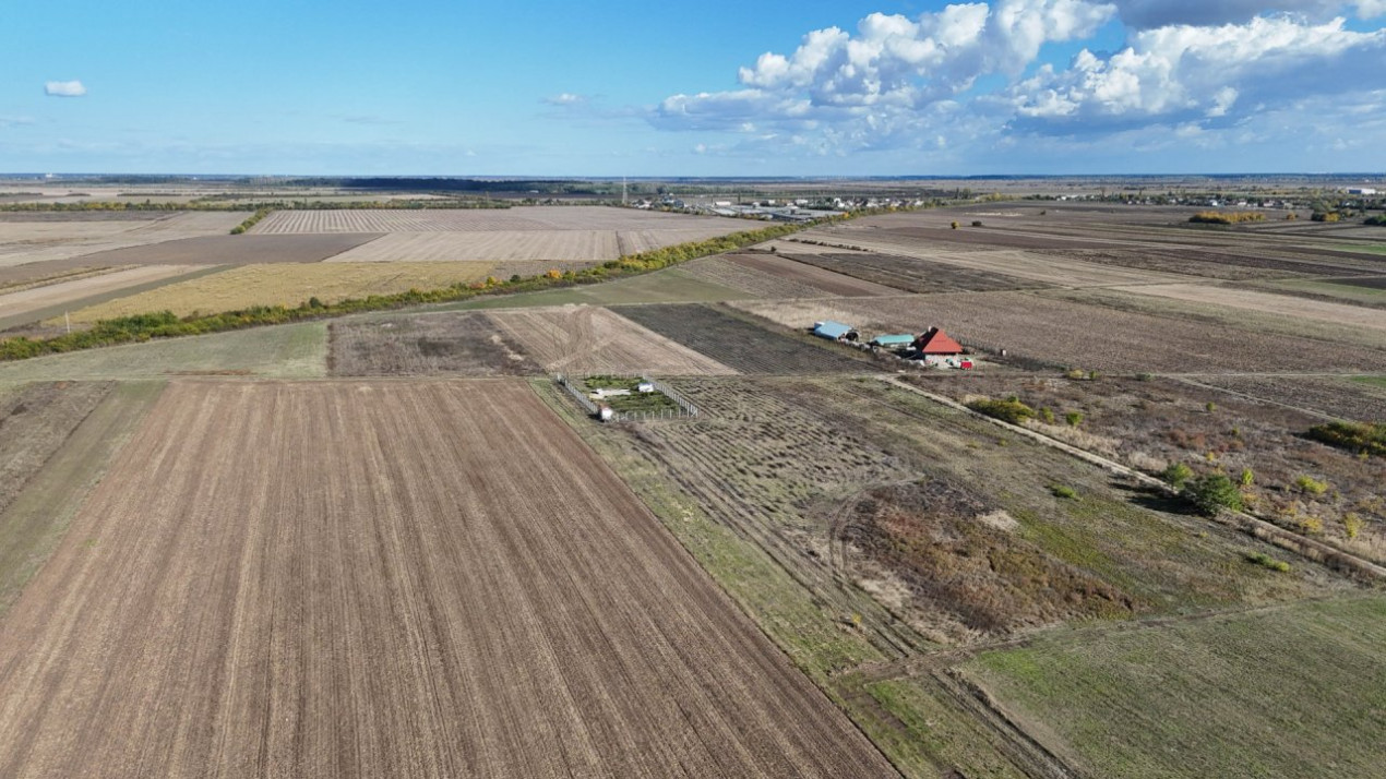 Refugiu la marginea padurii — 1000 mp de liniste in Cocani.