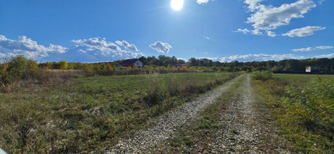 Refugiu la marginea padurii — 1000 mp de liniste in Cocani.