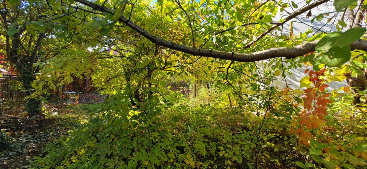 Vila Gabriela Otopeni