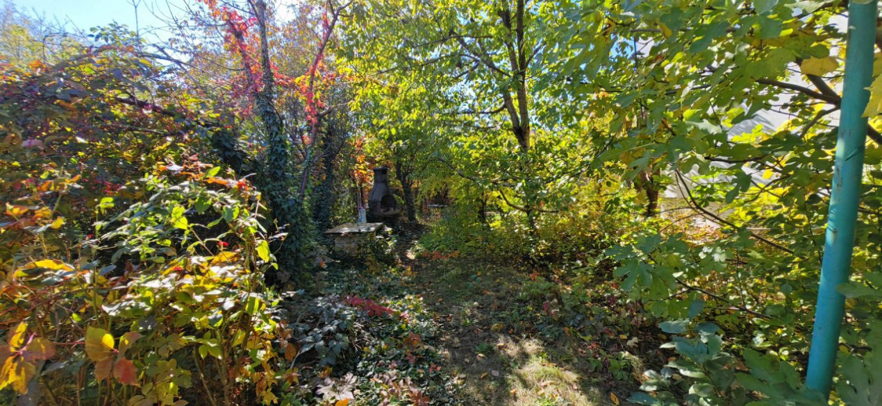 Vila Gabriela Otopeni