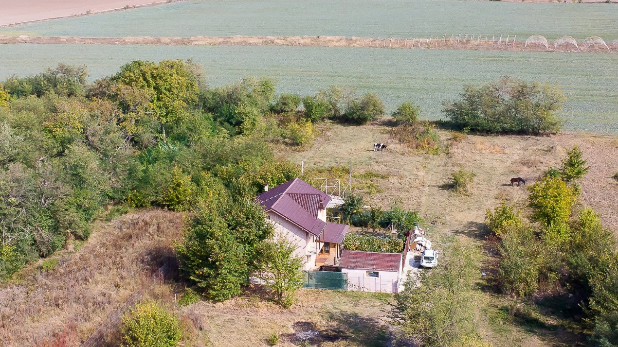 Teren intravilan Ilfov, Petrachioaia, la 3 minute STB Biserica Vanatori