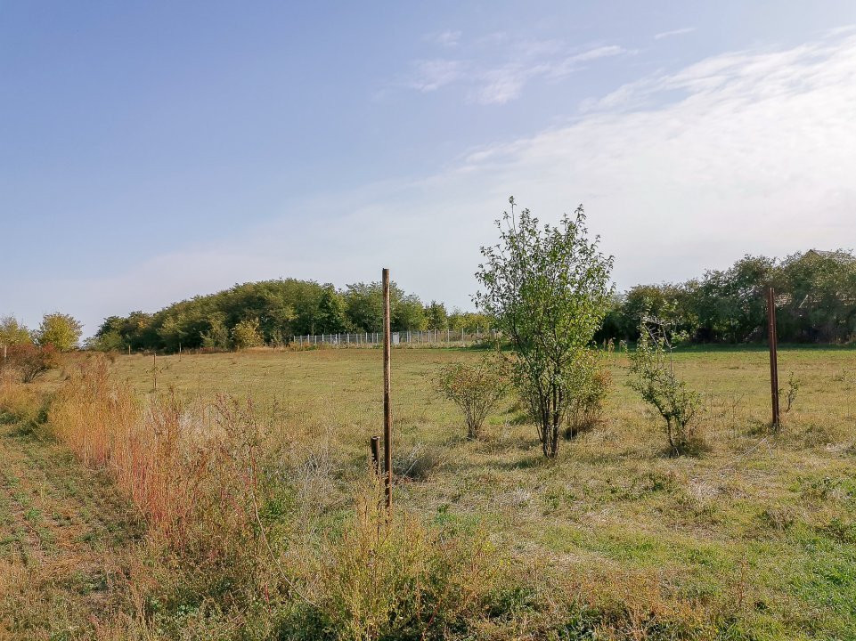 Teren intravilan Ilfov, Petrachioaia, la 3 minute STB Biserica Vanatori