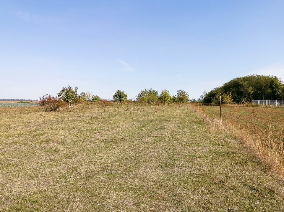 Teren intravilan Ilfov, Petrachioaia, la 3 minute STB Biserica Vanatori