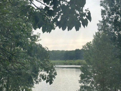 Conac | Vila  | 8 Camere | 4 bai | Gradistea | Ponton| Lac Caldarusani