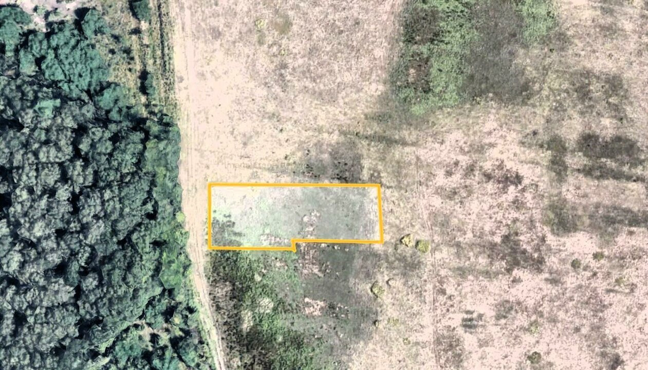 Teren Voluntari Padurea Baneasa