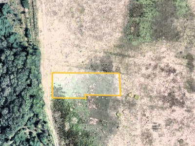 Teren Voluntari Padurea Baneasa