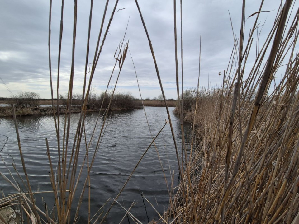 Teren 2500 mp – Izvorani | Deschidere directă la lac 