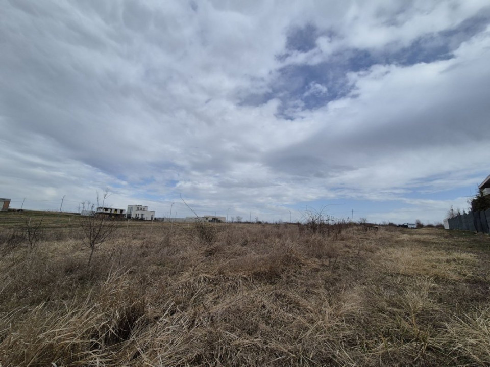 Teren 2500 mp – Izvorani | Deschidere directă la lac 