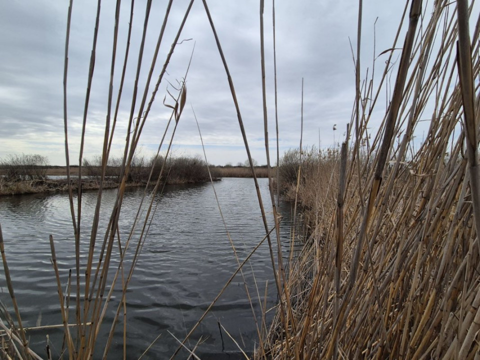 Teren 2500 mp – Izvorani | Deschidere directă la lac 