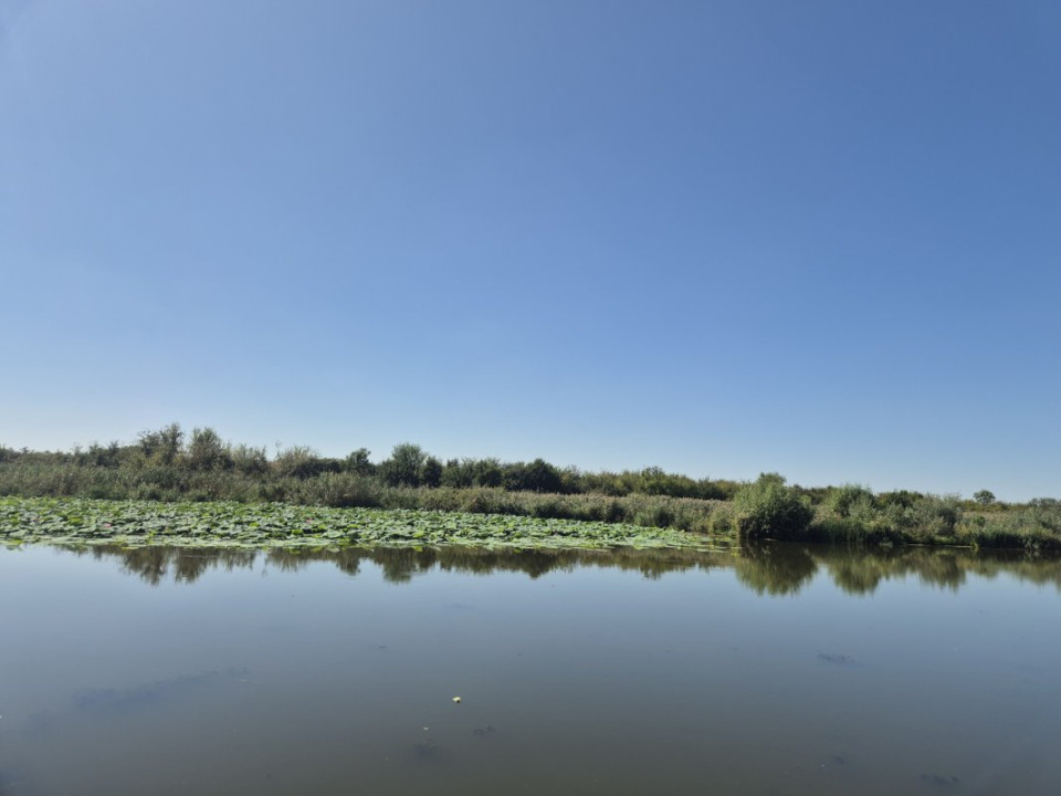 Teren 2500 mp – Izvorani | Deschidere directă la lac 