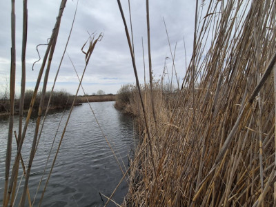 Teren 2500 mp – Izvorani | Deschidere directă la lac 