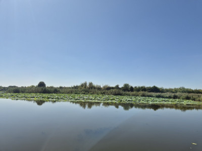 Teren 2500 mp – Izvorani | Deschidere directă la lac 