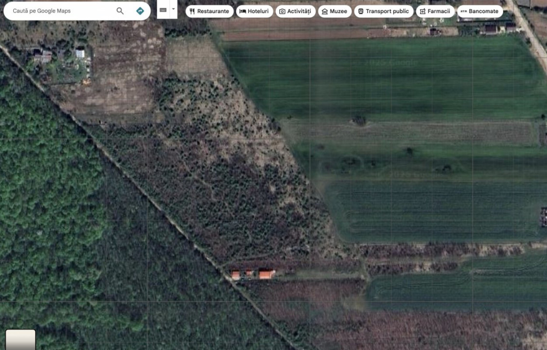 `Teren cu dubla deschidere, langa padure, Snagov - Strada Parcului 