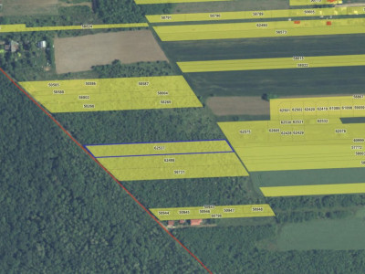 `Teren cu dubla deschidere, langa padure, Snagov - Strada Parcului 