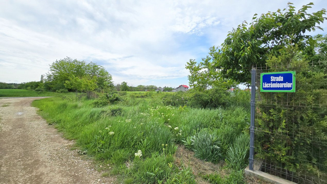 Teren intravilan in zona rezidentiala, la 1 km de A0 si A1