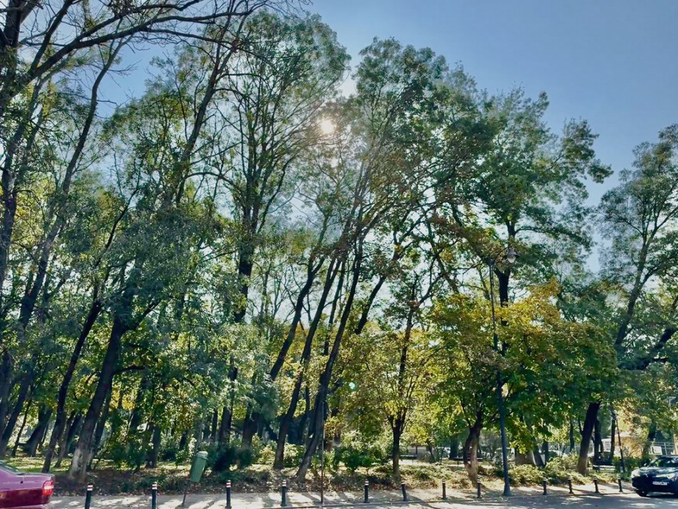 Vezi Parcul Kiseleff! Apartament spectaculos, 4 camere, 175mp