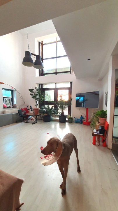 Casa de VANZARE in sector 5 Str. Antiaeriana resedinta sau after school