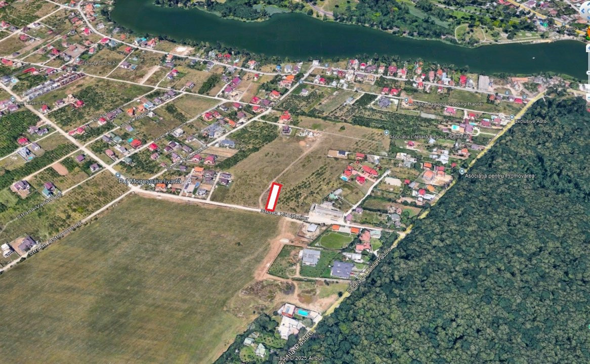 Teren de vânzare – 1000 mp în Mogoșoaia, zonă ideală pentru locuință					
