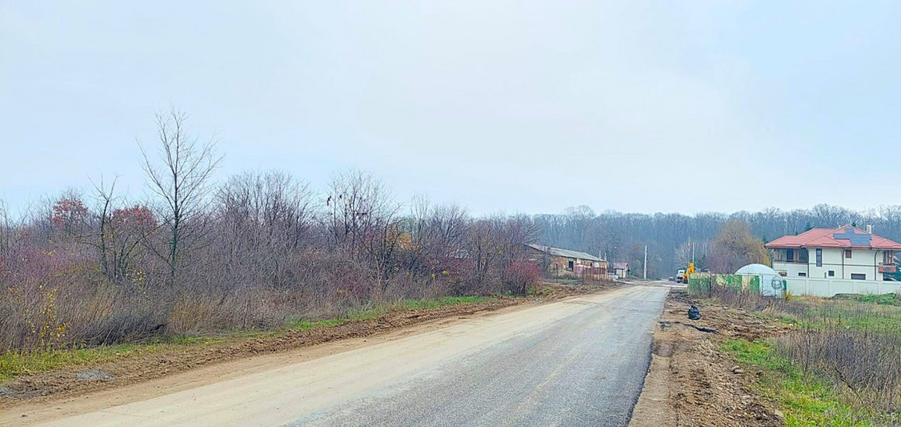 Teren de vânzare – 1000 mp în Mogoșoaia, zonă ideală pentru locuință					