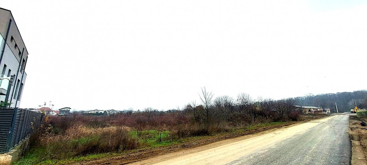 Teren de vânzare – 1000 mp în Mogoșoaia, zonă ideală pentru locuință					