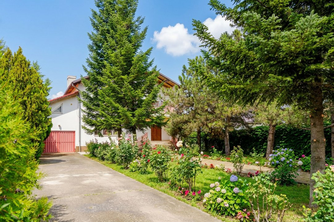 Vila familiei unite, piscină, cabană, Snagov - Ciofliceni