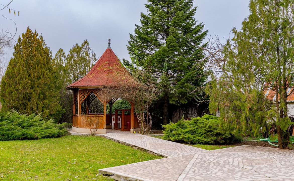 Vila familiei unite, piscină, cabană, Snagov - Ciofliceni