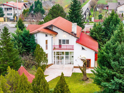 Vila familiei unite, piscină, cabană, Snagov - Ciofliceni