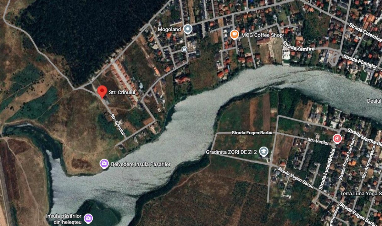 Teren de vânzare în Mogoșoaia – Strada Crinului, lângă lac | Lot ideal pentru ca