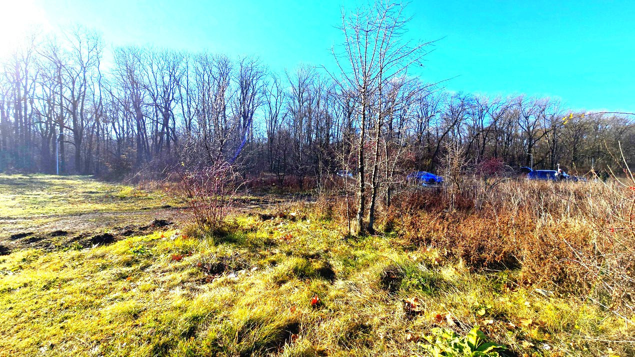 Teren intravilan, 2 fronturi, Drumul Padurea Pustnicu 65 - Greenfield