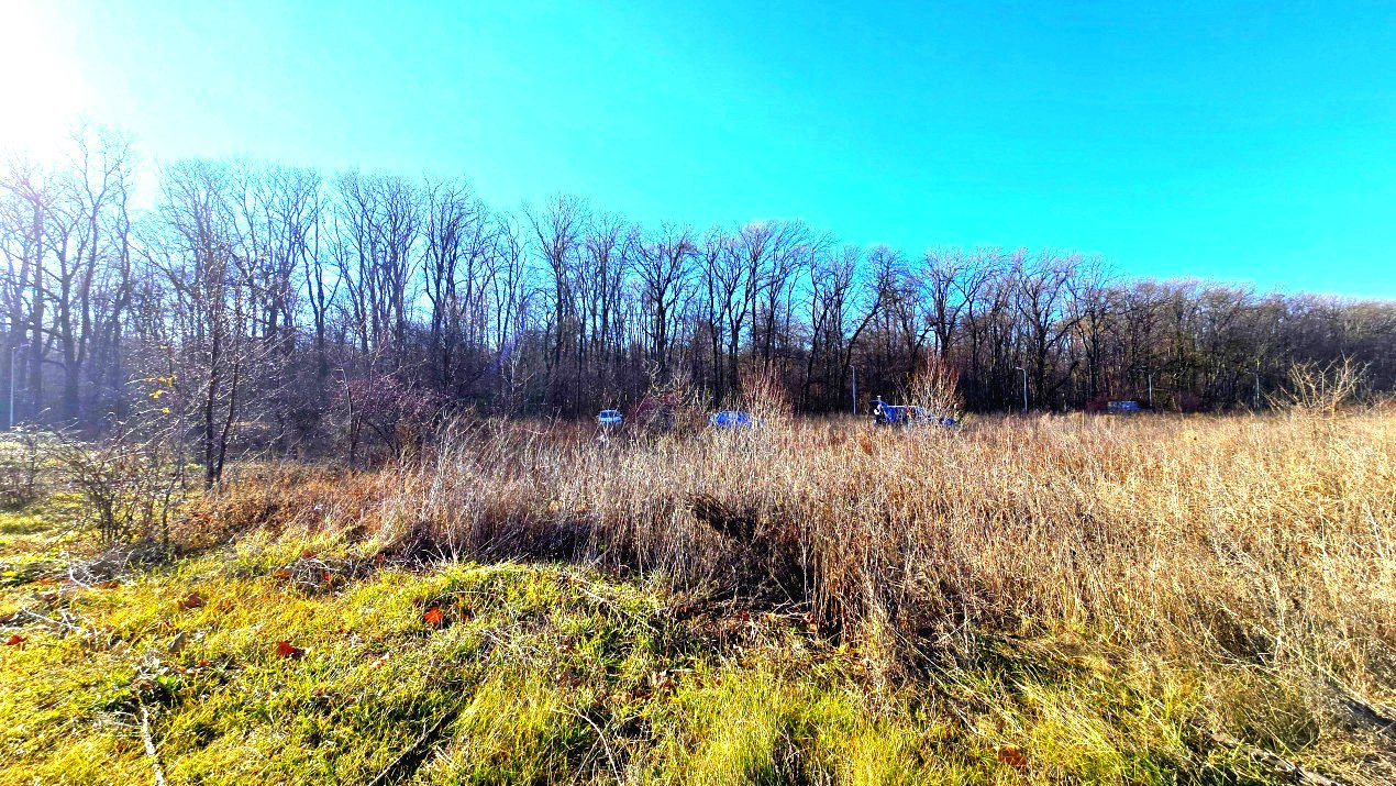 Teren intravilan, 2 fronturi, Drumul Padurea Pustnicu 65 - Greenfield