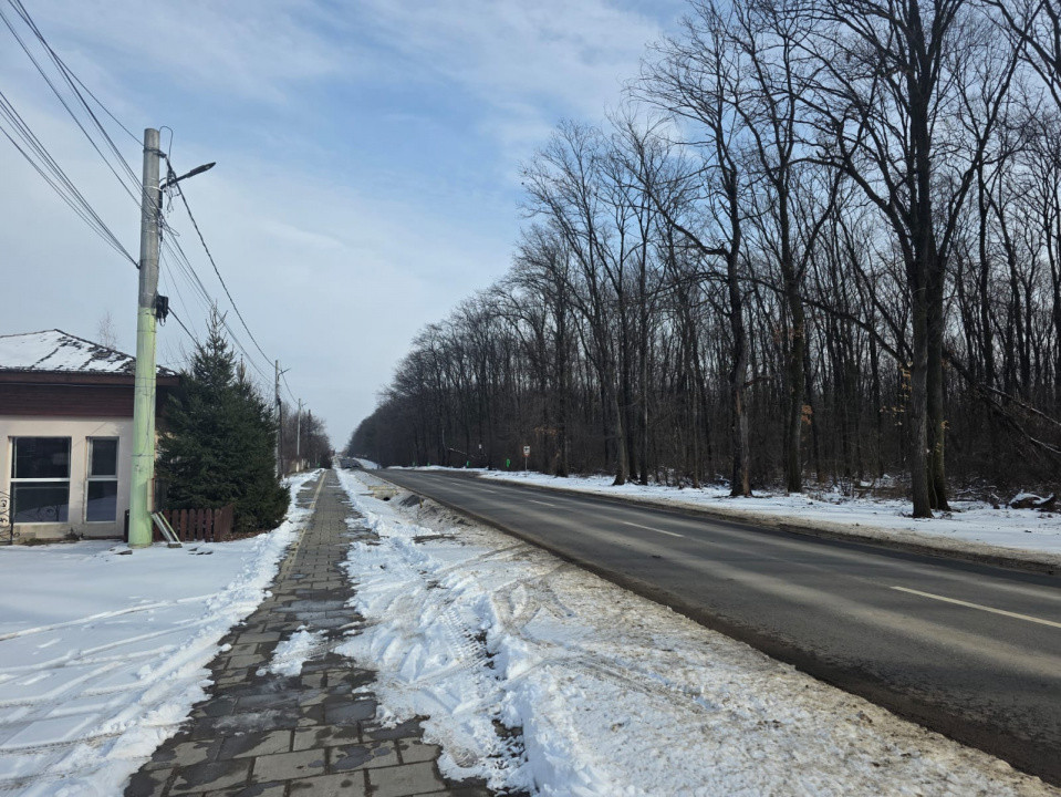 De vanzare lot de 645mp in Ciofliceni, lot casa