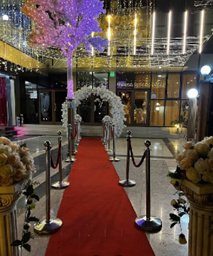 Restaurant Ballroom - Casa Luminita - Theodor Pallady