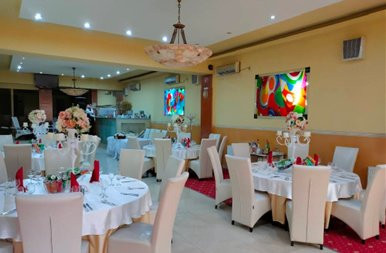 Restaurant Ballroom - Casa Luminita - Theodor Pallady