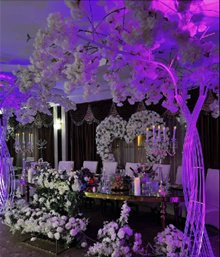 Restaurant Ballroom - Casa Luminita - Theodor Pallady