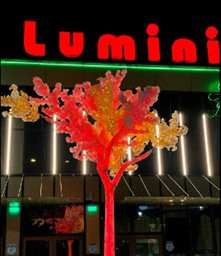 Restaurant Ballroom - Casa Luminita - Theodor Pallady