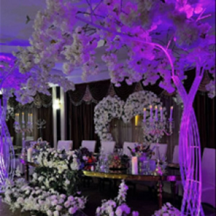 Restaurant Ballroom | Casa Luminita | 5 saloane | Pallady