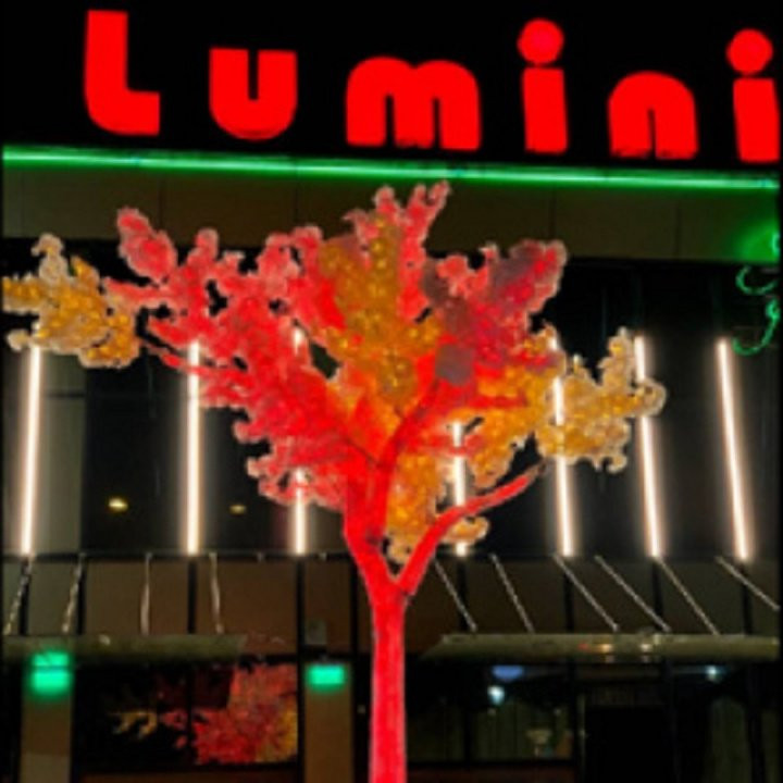 Restaurant Ballroom | Casa Luminita | 5 saloane | Pallady